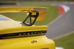 Porsche 718 Cayman GT4 2019 года (WW)